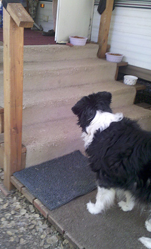 Holly on steps