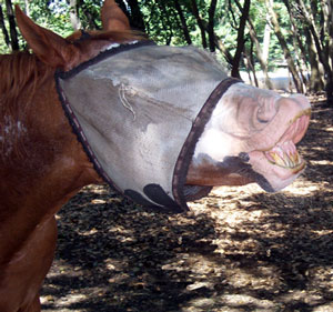 Dina doesn't like her medicine